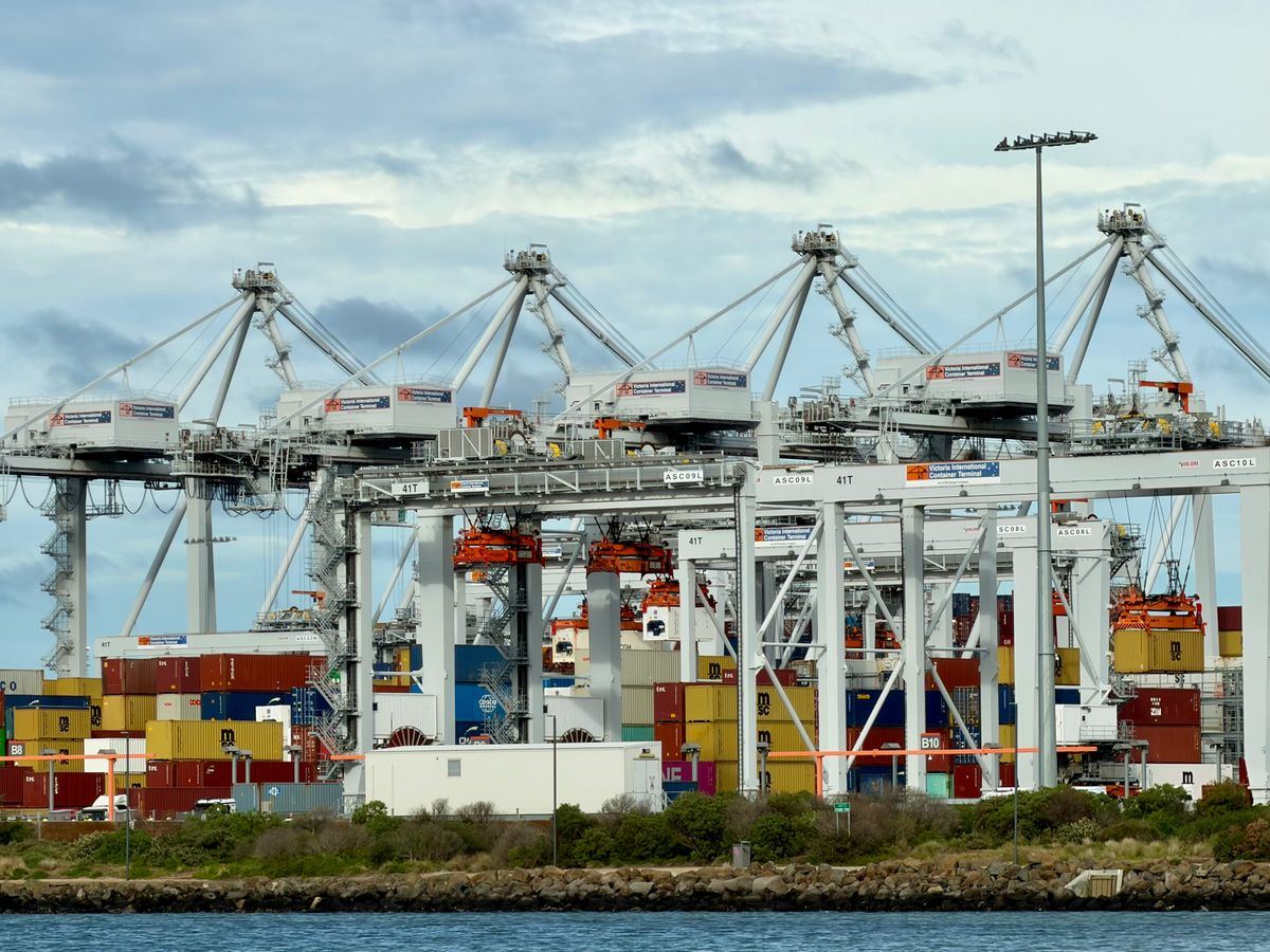 Container terminal with cranes and stacked containers